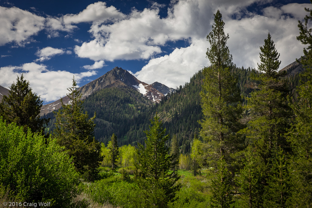 Mineral King, Sequoia National Park, CA