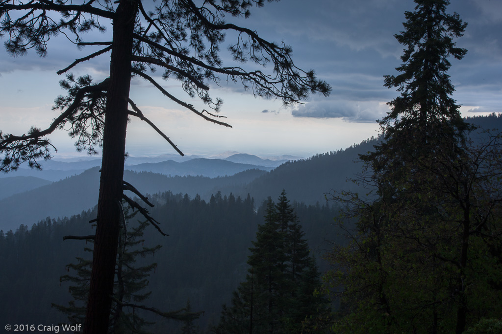 Sequoia National Park, CA