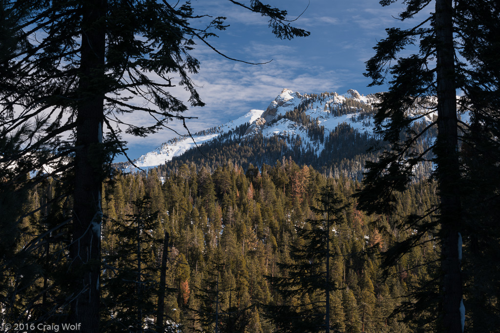 Sequoia National Park, CA