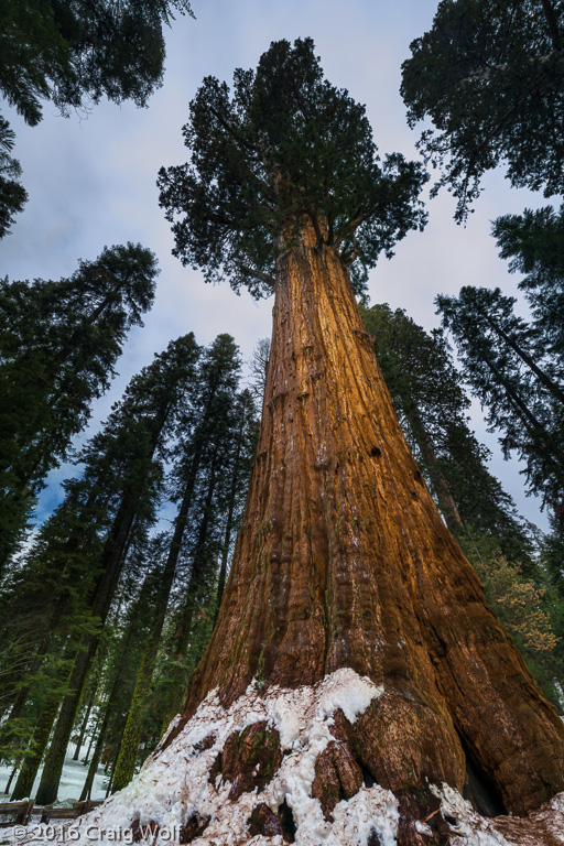 Sequoia National Park, CA