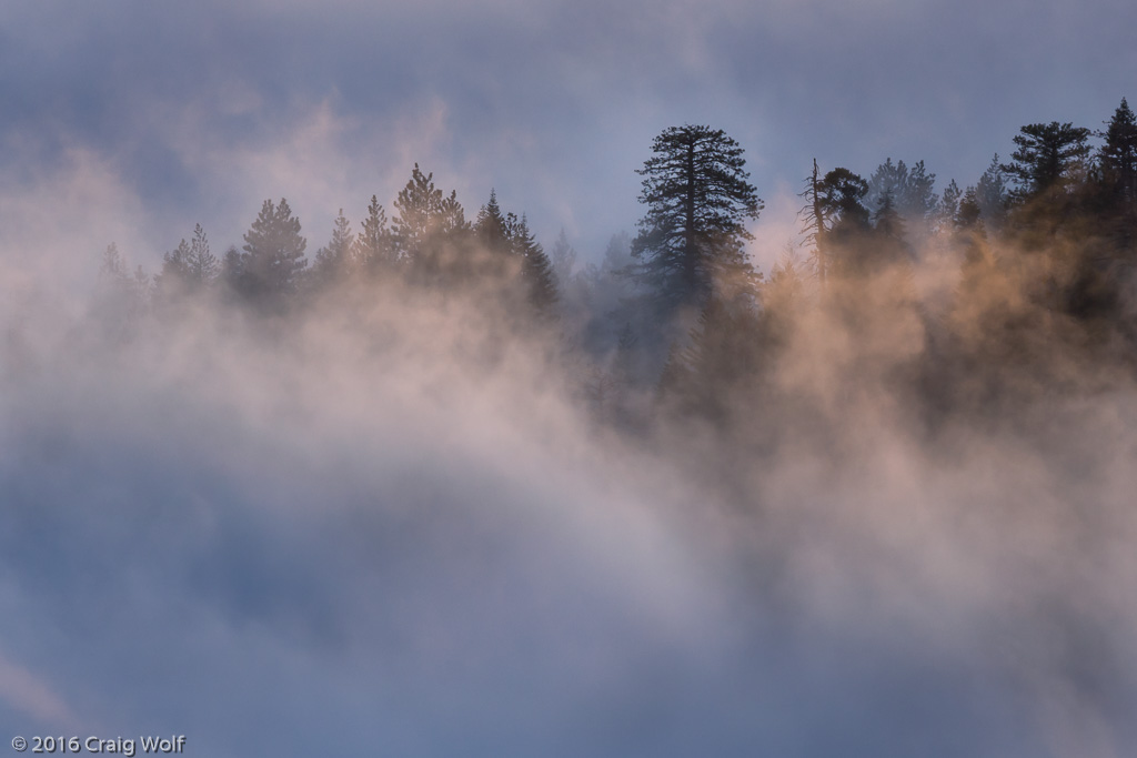 Sequoia National Park, CA