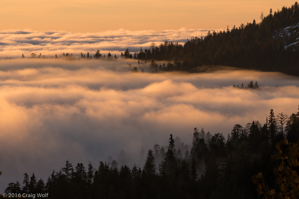 Sequoia National Park, CA