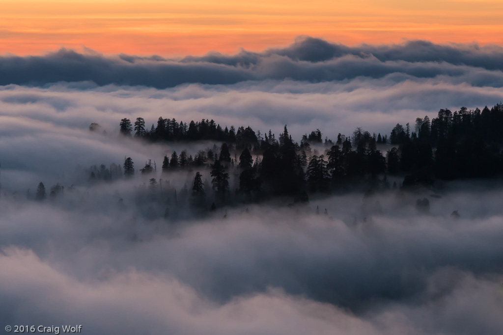 Sequoia National Park, CA