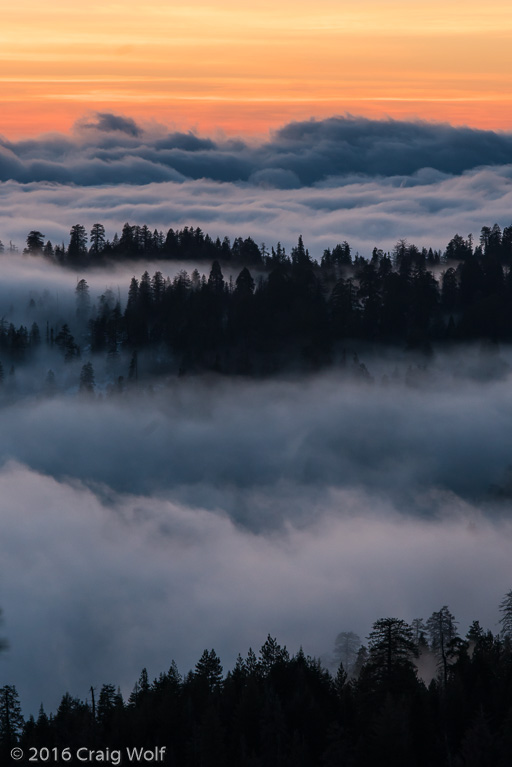 Sequoia National Park, CA