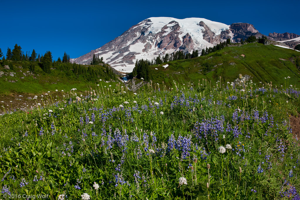 Mount Rainier National Park, WA