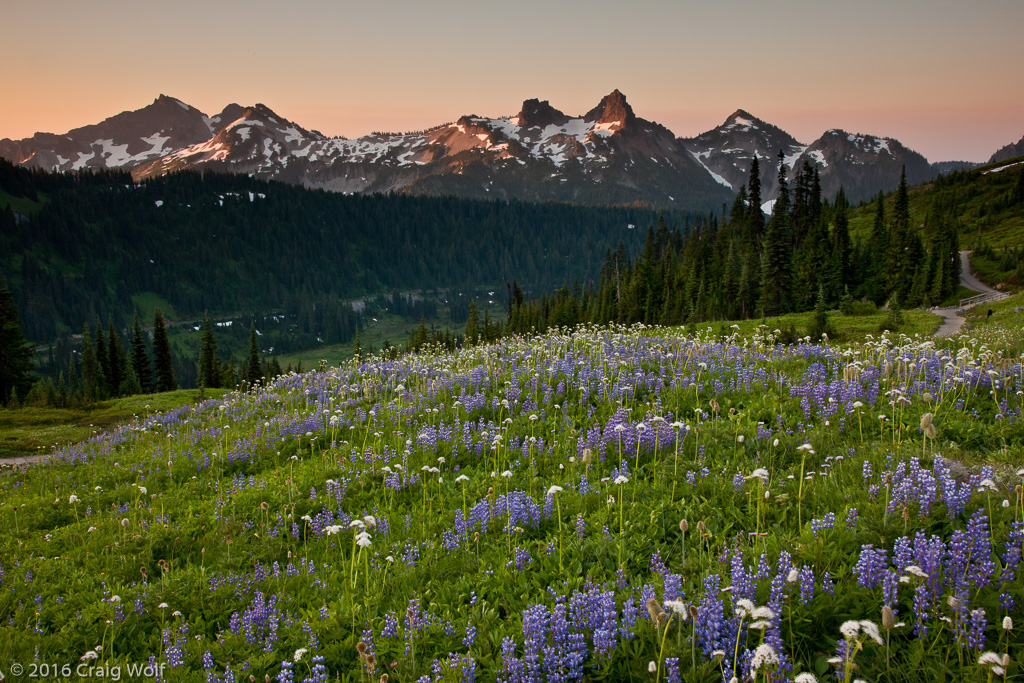 Mount Rainier National Park, WA