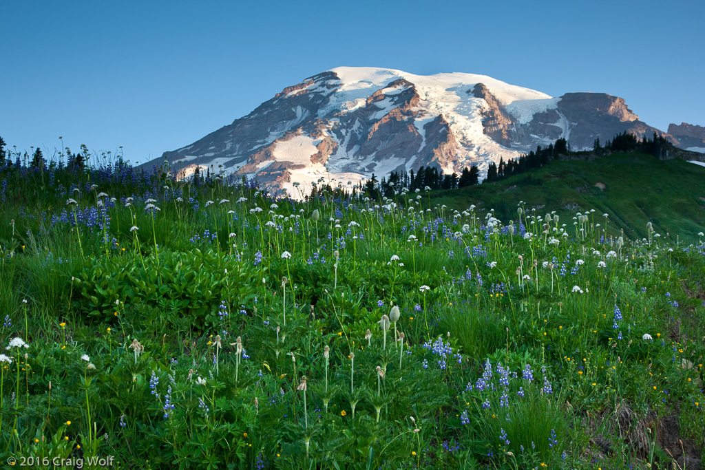 Mount Rainier National Park, WA