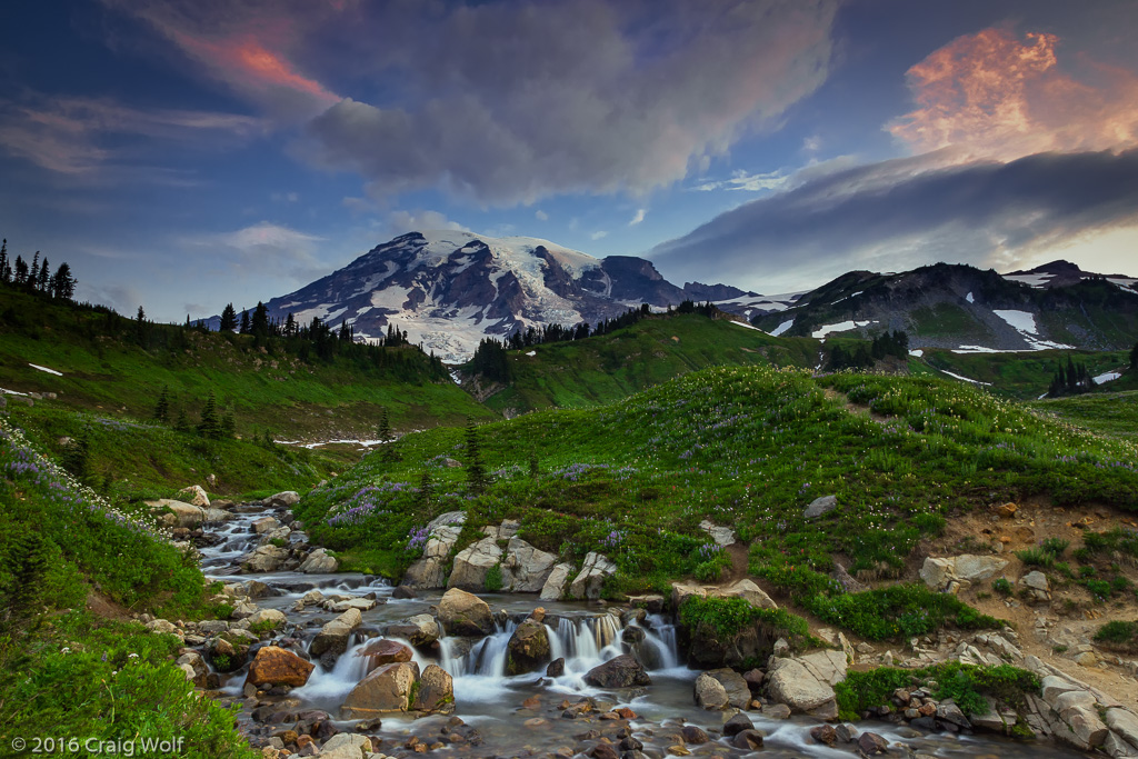 Mt Rainier National Park, WA