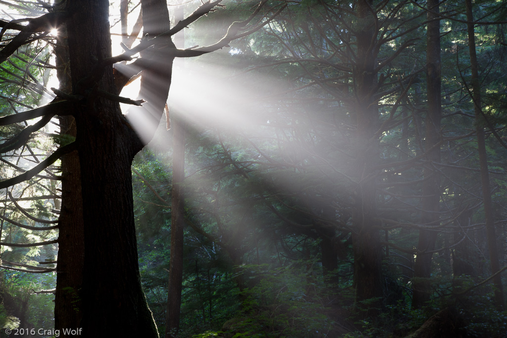 Olympic National Park, WA