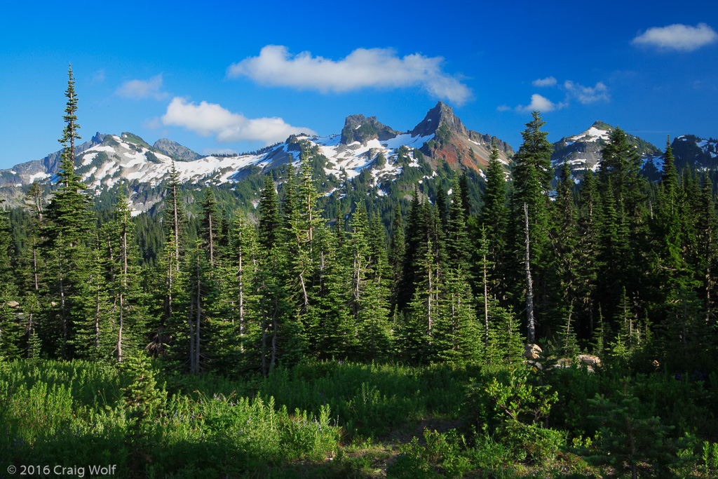 Mount Rainier National Park, WA