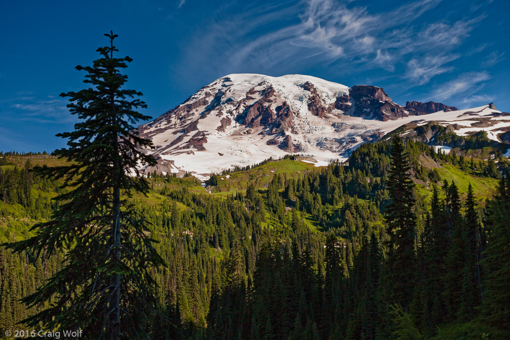 Mt. Rainier National Park, WA