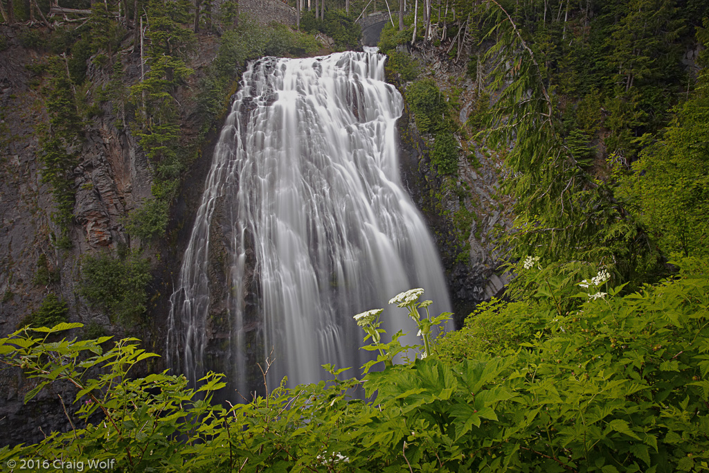 Mt. Rainier National Park, WA