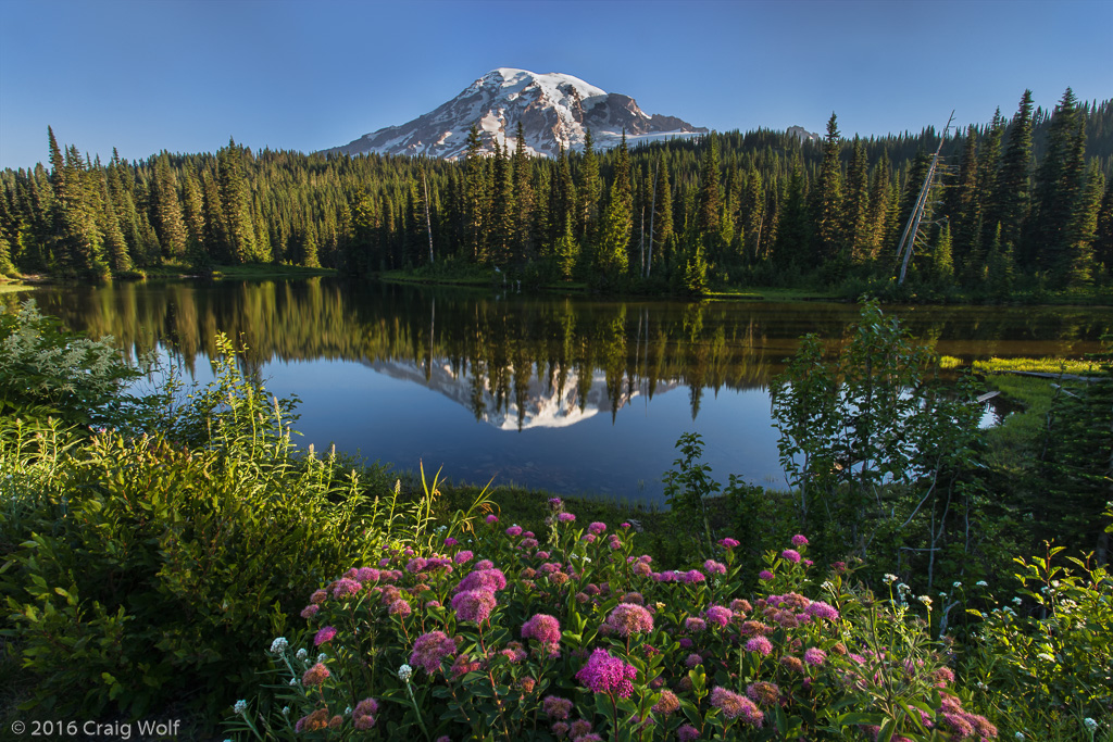 Mt. Rainier National Park, WA