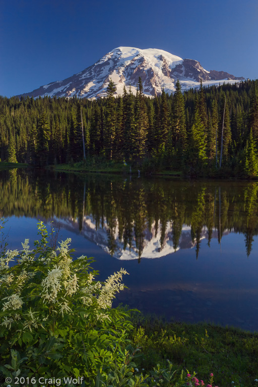 Mt. Rainier National Park, WA