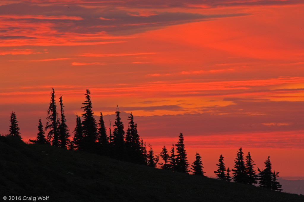 Olympic National Park, WA