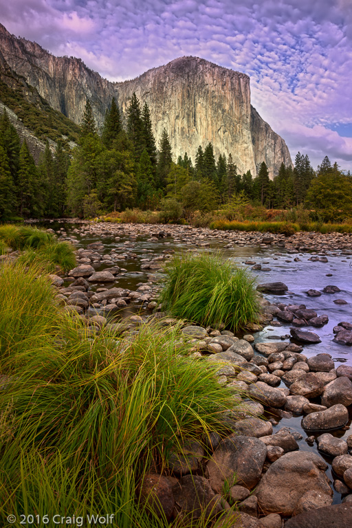 Yosemite National Park