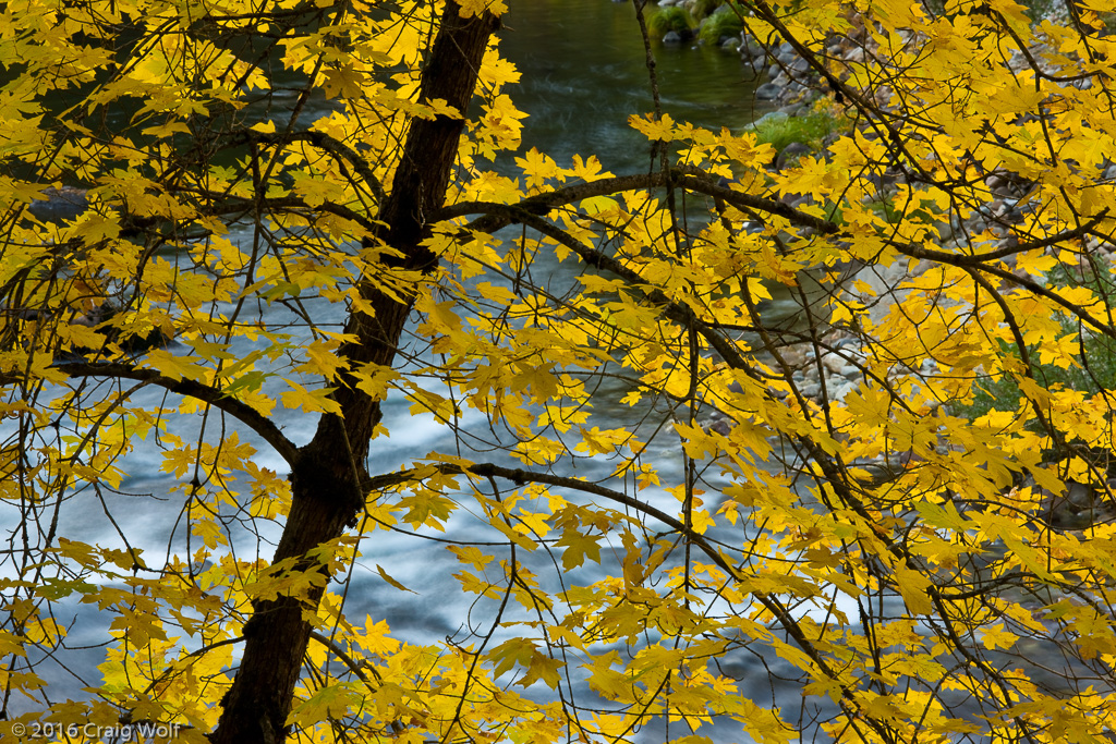 Fall Color Yosemite