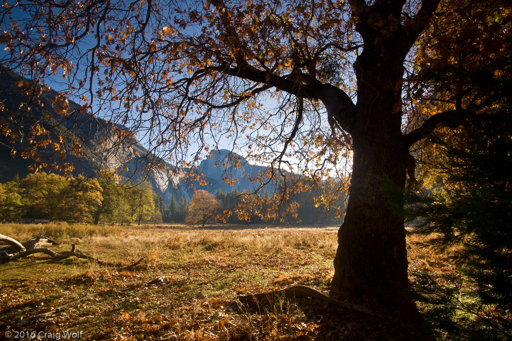 Cook's Meadow Yosemite