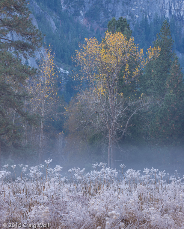 Yosemite National Park, CA