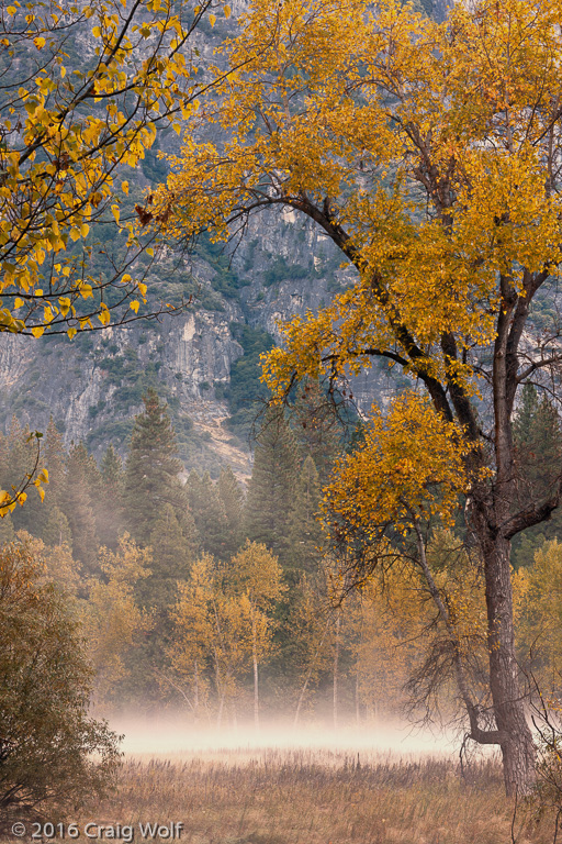 Yosemite National Park, CA