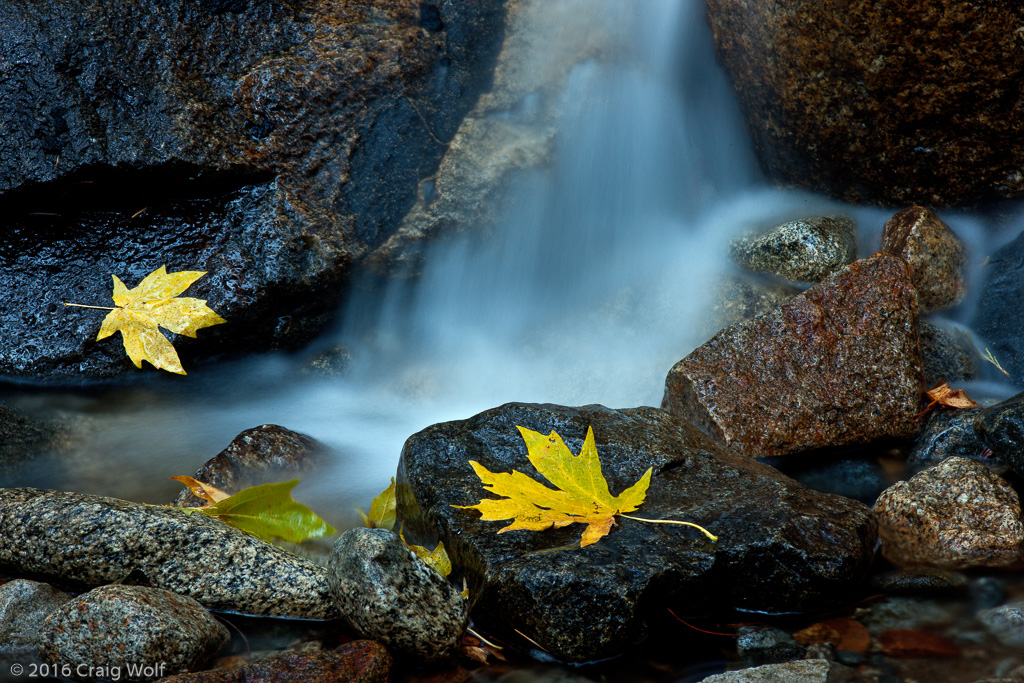 Yosemite National Park, CA