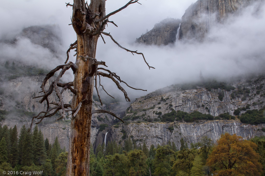 Yosemite National Park