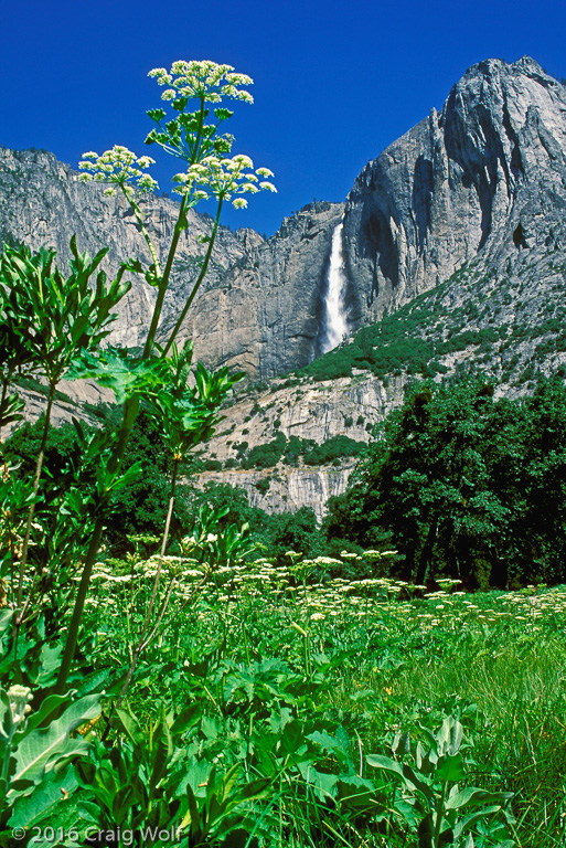 Yosemite National Park, CA