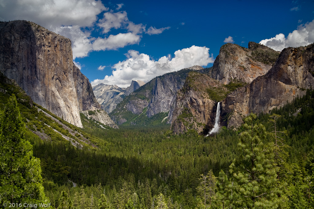 Yosemite National Park, CA