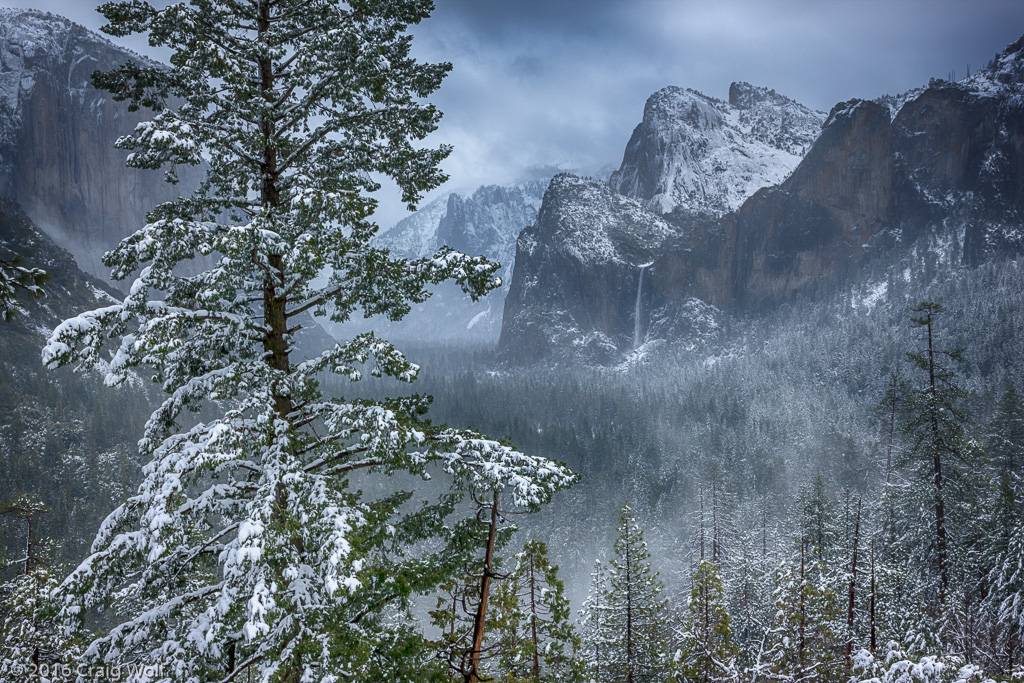 Yosemite National Park, CA