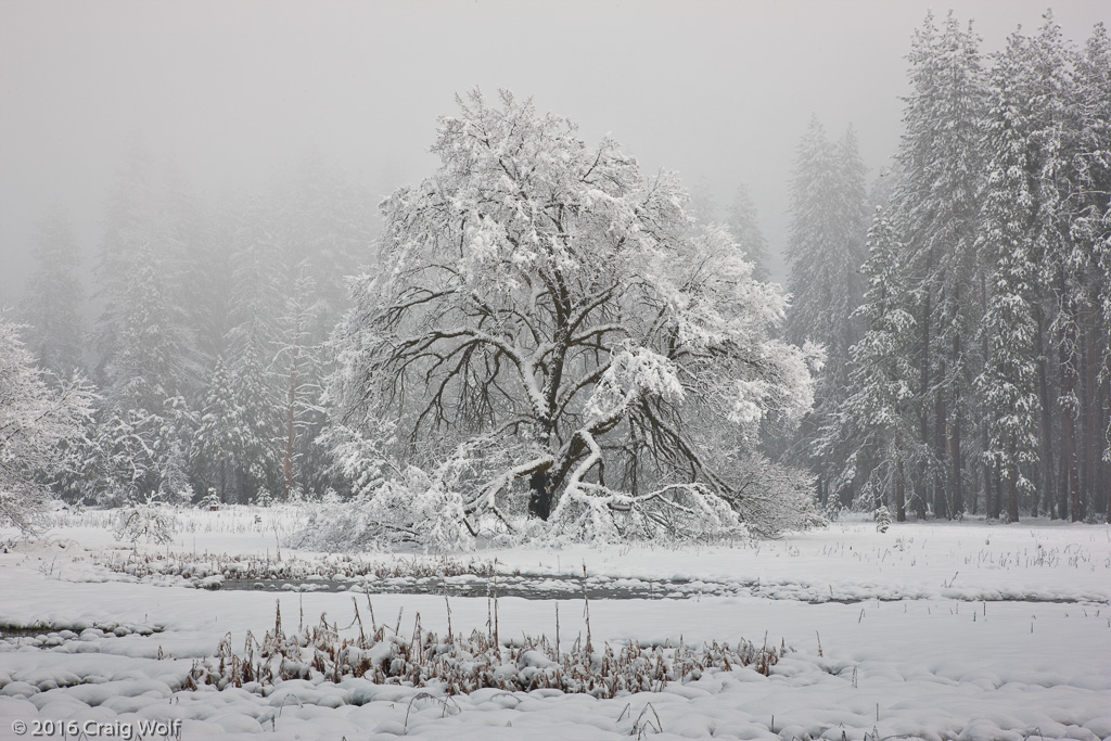 Yosemite National Park