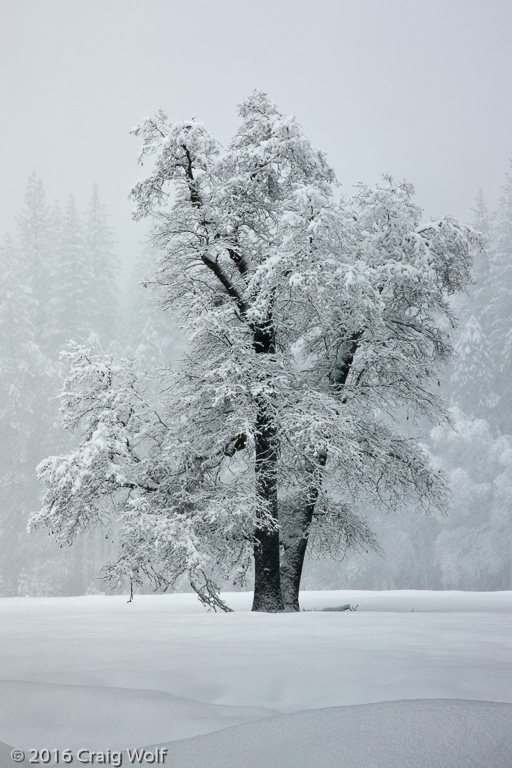 Yosemite National Park