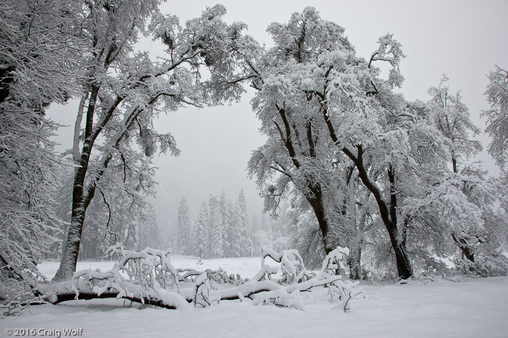 Yosemite National Park