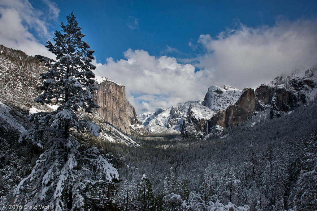 Yosemite National Park