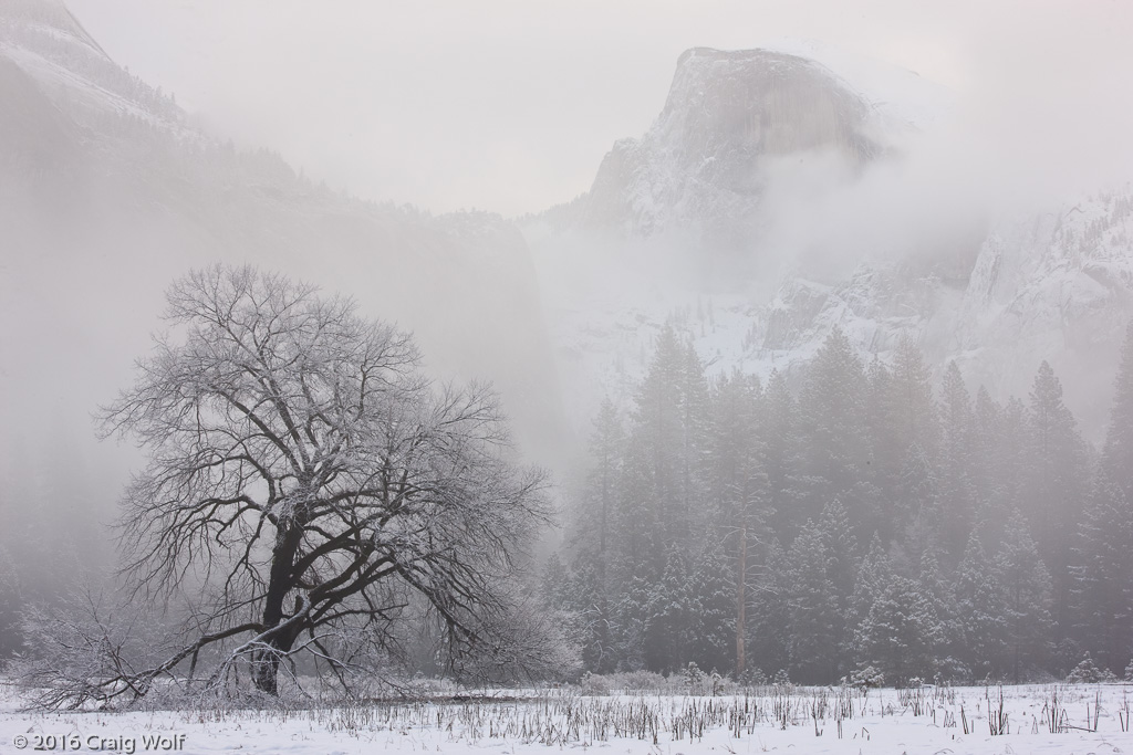 Yosemite, California