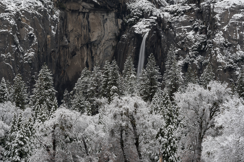 Yosemite National Park, CA