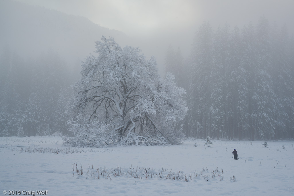 Yosemite National Park, CA